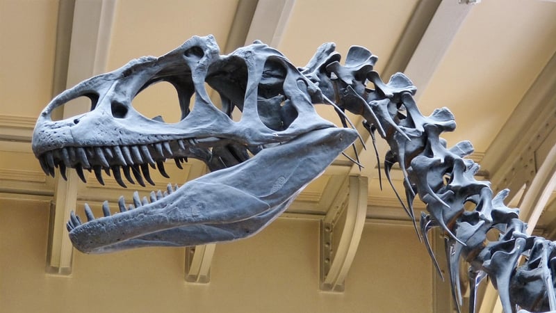 Dinosaurs Encounter